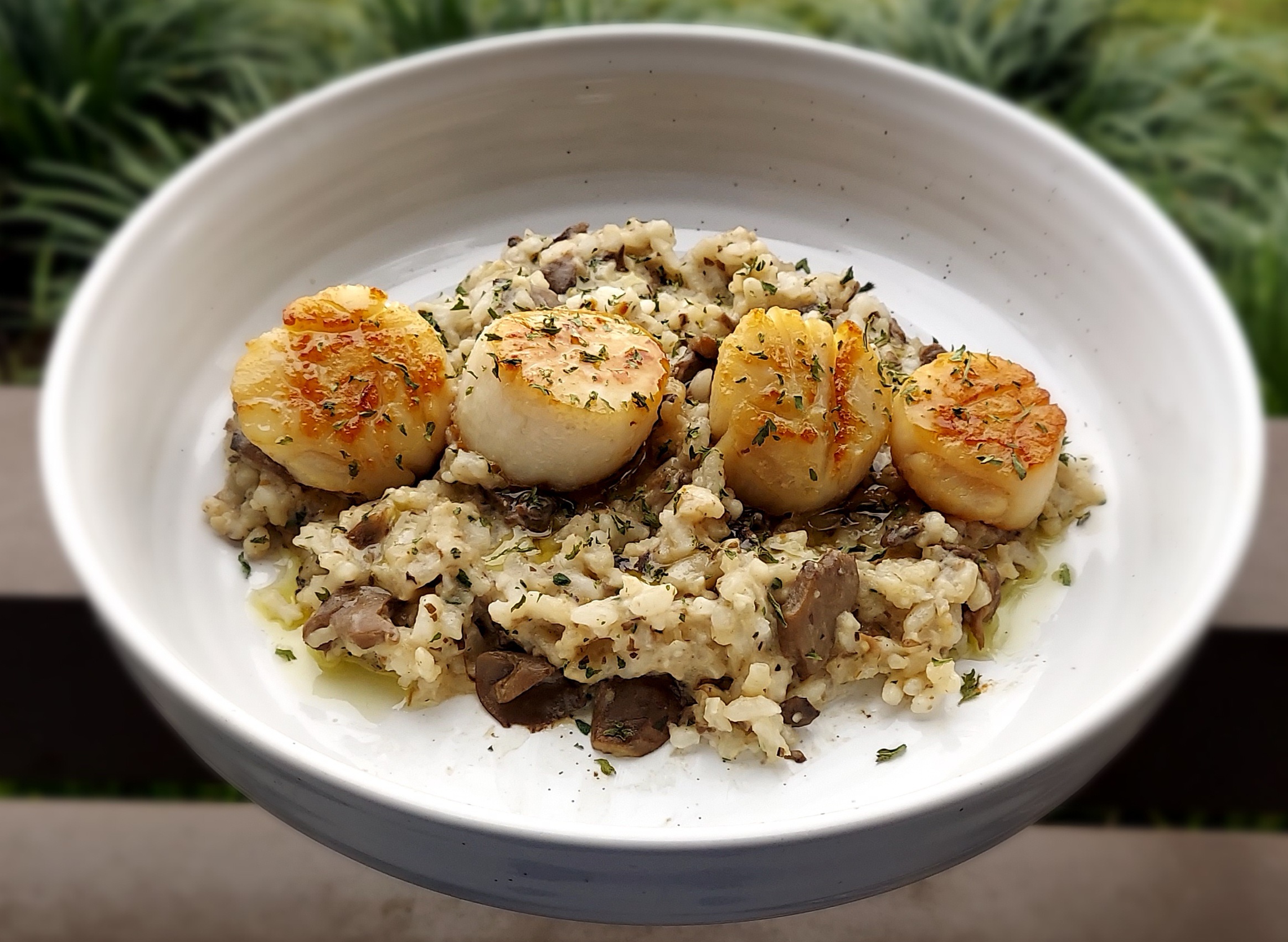 Seared Scallops And Mushroom Risotto Fast Simple And Good 5754